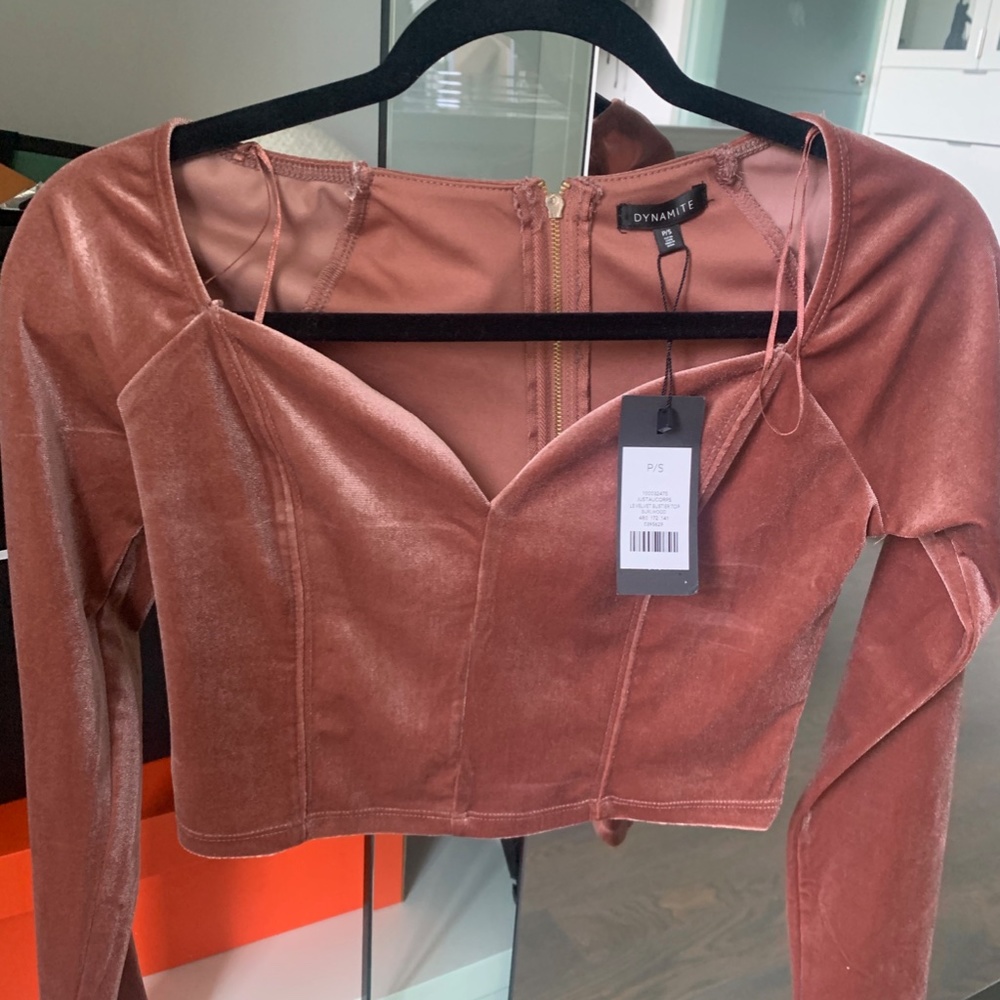 Dynamite Pink Velvet Long Sleeve Crop Top Size S